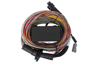 Haltech Elite 750 Premium Universal Wire-In Harness - 2.5m (8ft)
