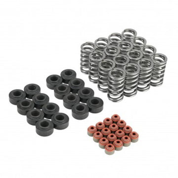 Skunk2 Honda K20C1/K20C4 Ultra Resortes de válvula y kit de base de resorte