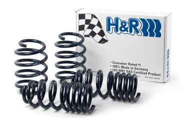 H&amp;R 10-19 Ford Taurus SHO (AWD) V6 Turbo Resorte deportivo