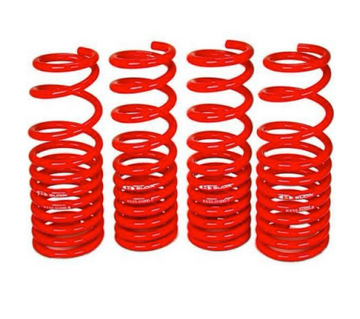 BLOX Racing Muelles de descenso Tesla Model 3 Long Range RWD