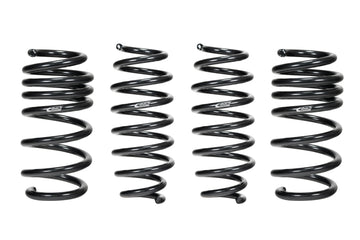 Kit profesional de rendimiento Eibach 18-20 Tesla Model 3 AWD